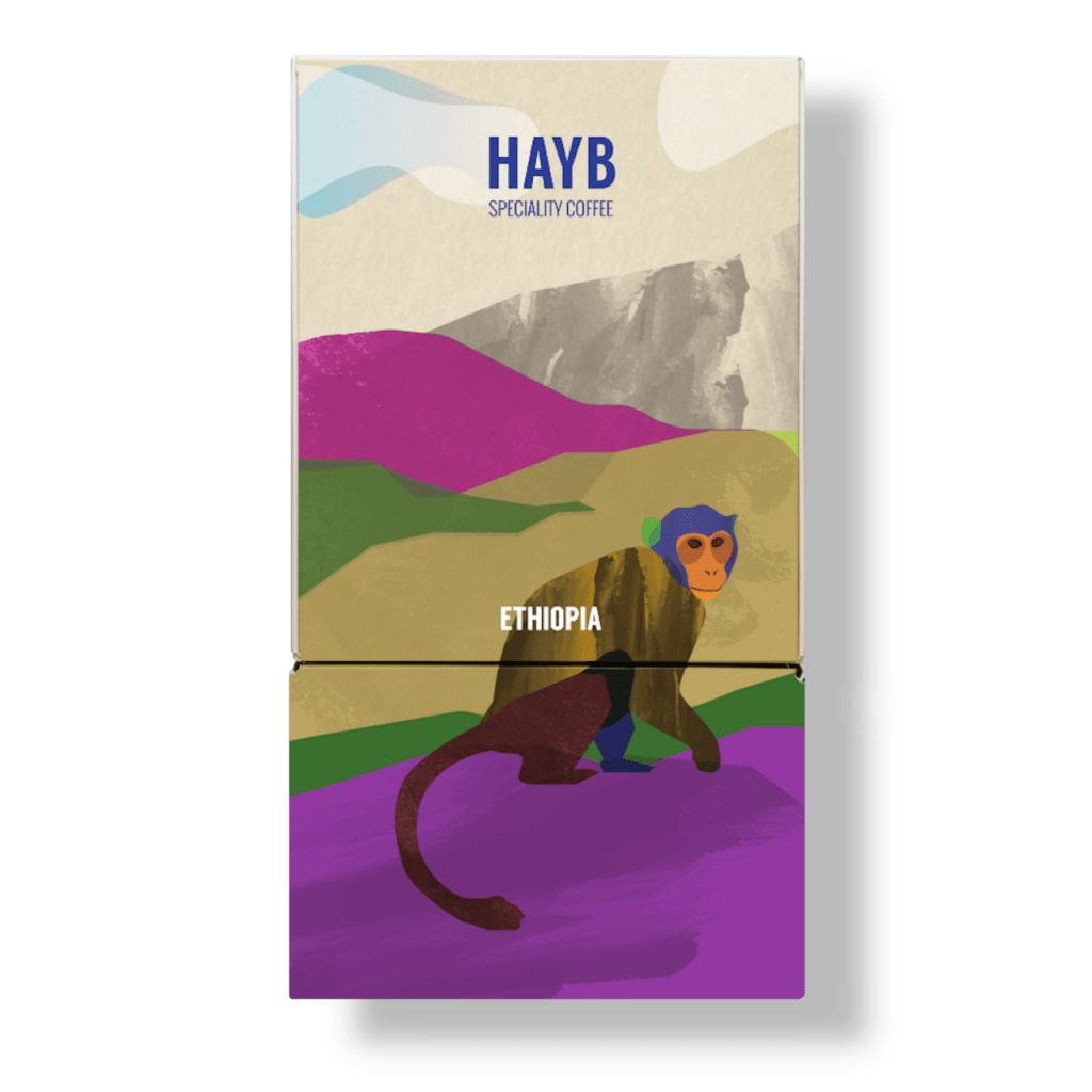 HAYB-ETHIOPIA