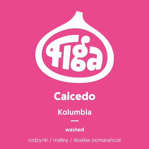 Kawa specialty Figa Kolumbia Caicedo